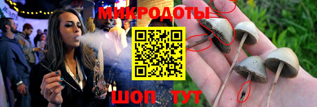 Петропавловск-Камчатский  что такое наркотик  Псилоцибиновые грибы Psilocybe  Вход с VPN  Галлюциногенные грибы Psilocybe 